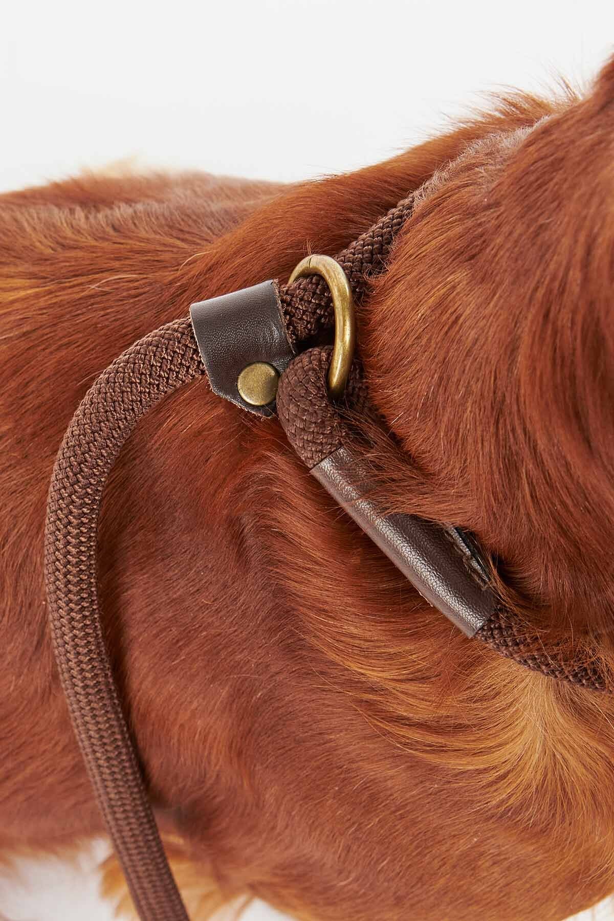 Tartan Leash