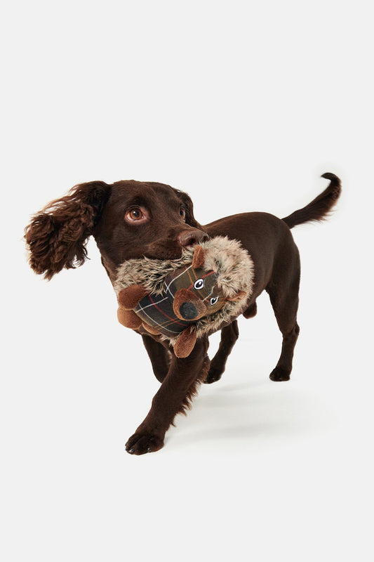 Dog Hedgehog Toy