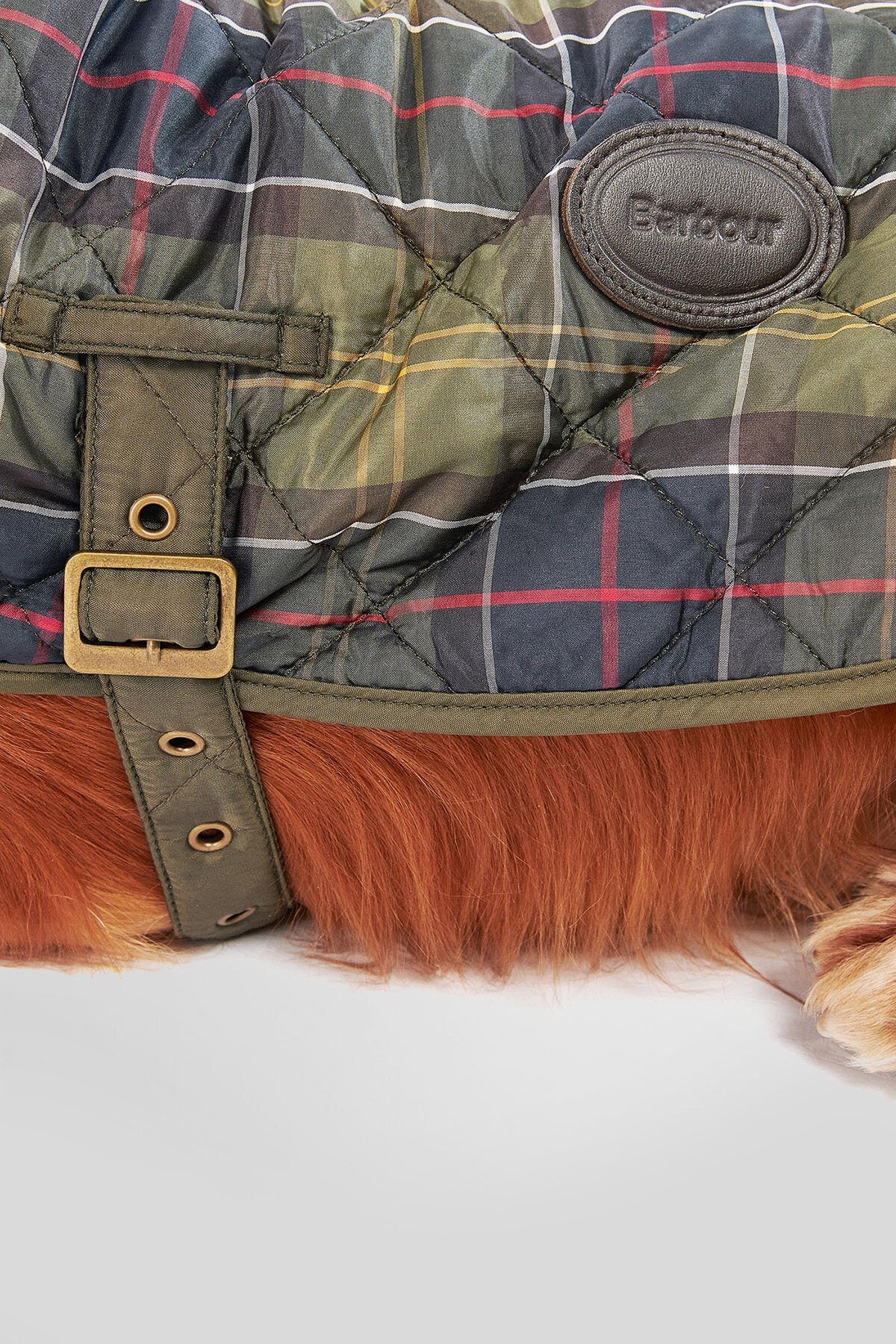 Tartan Dog Coat