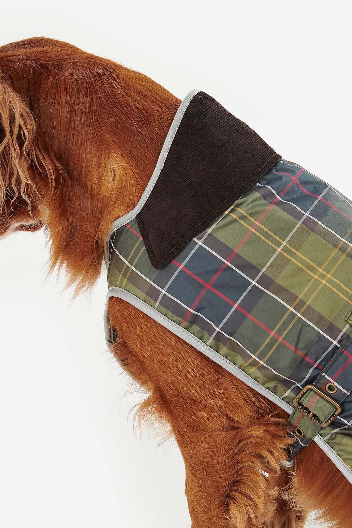 Wasserfester Hundemantel aus Tartan