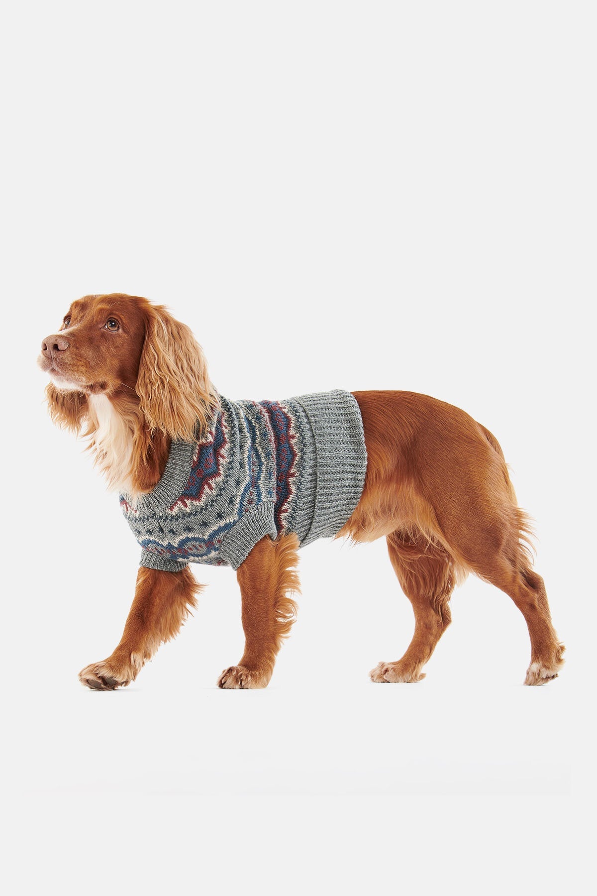 Case Fair Isle Dog Jumper