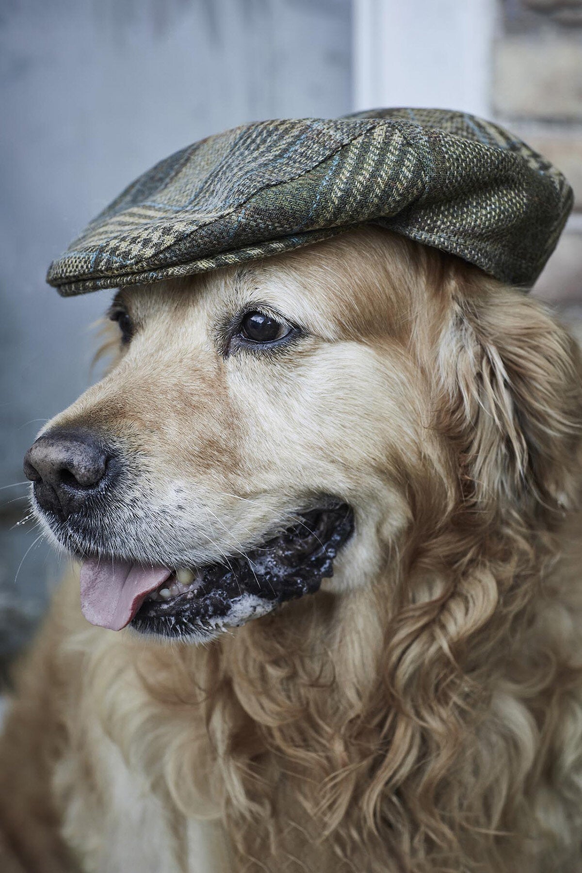 Wilkin Flat Cap