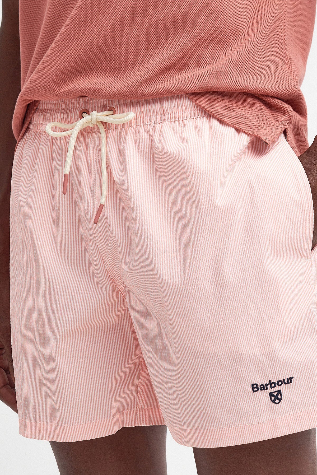 Somerset Pinstripe Swim Shorts