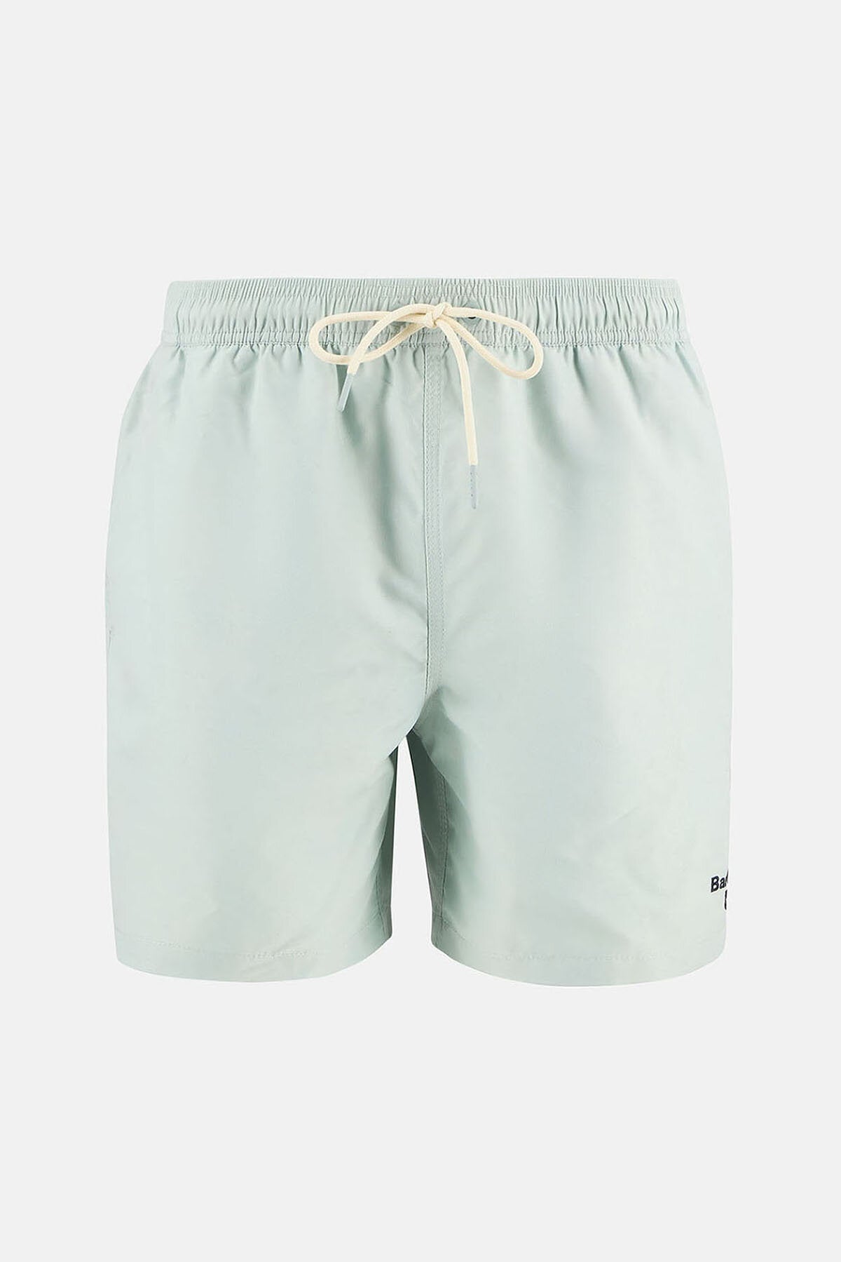 Water Reactive Leaf Print Swim Short